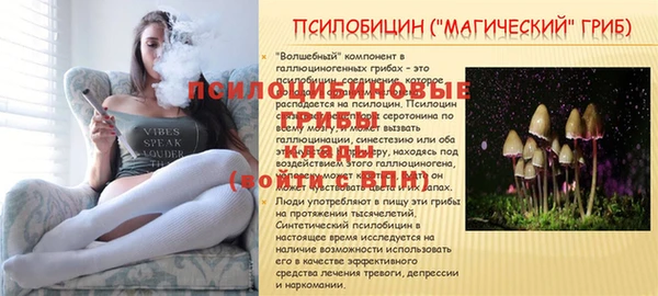 МДПВ Богородск