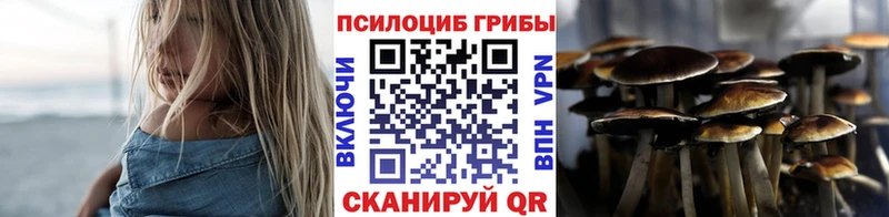 цены   Северск  Галлюциногенные грибы Psilocybe 